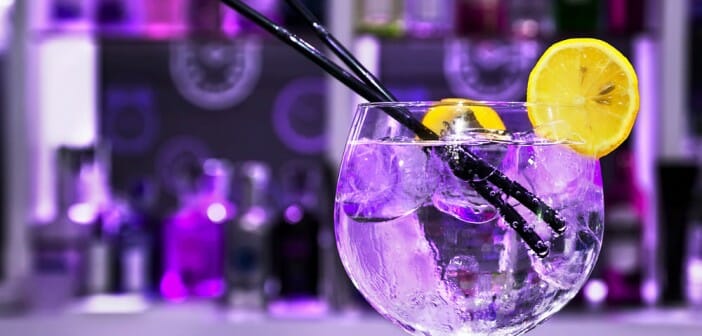 Le gin fait-il grossir ?