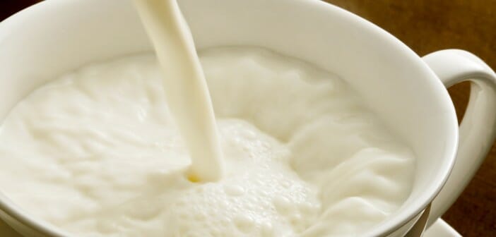 Le lait chaud fait-il grossir ?