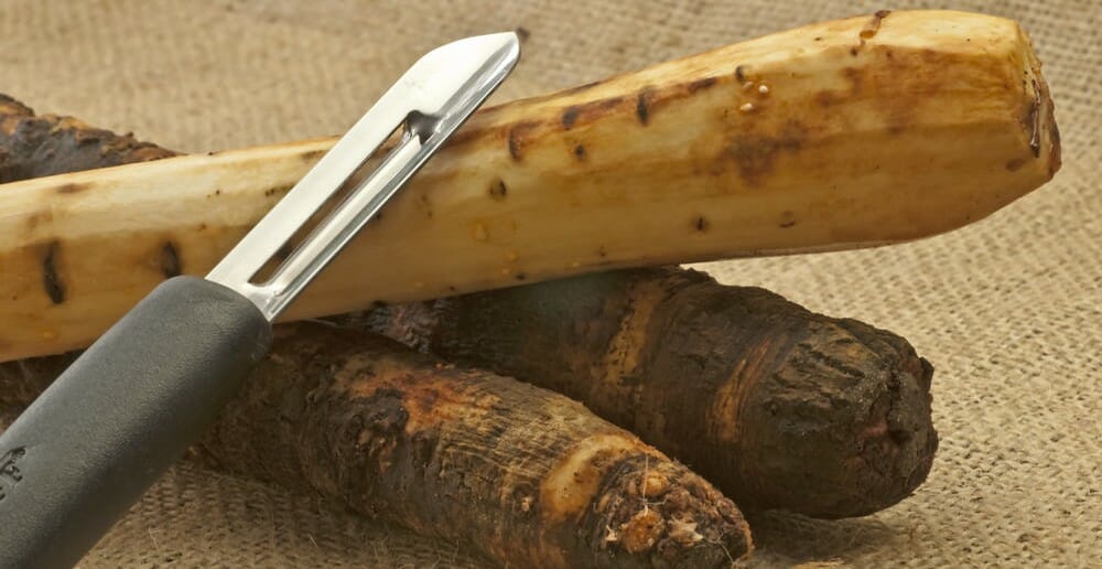 Le salsifis est-il calorique ?