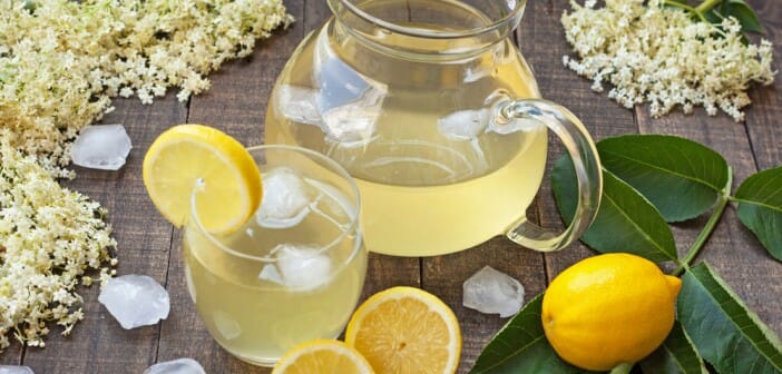 Le sirop de citron fait-il grossir ?