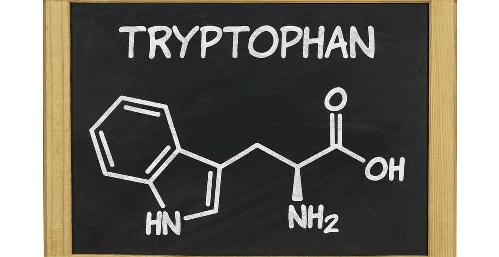 Le tryptophane pour maigrir