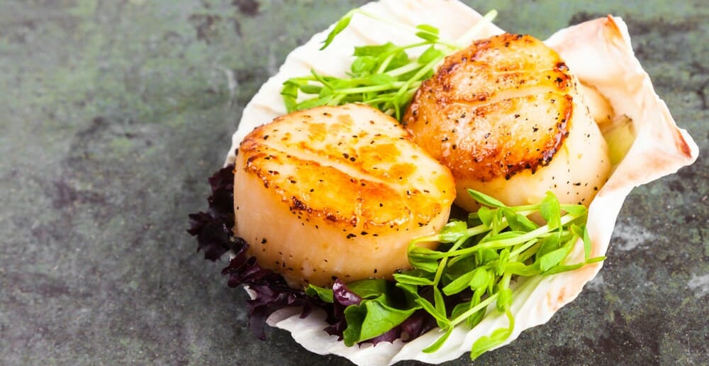 Les coquilles saint jacques font-elles grossir ?