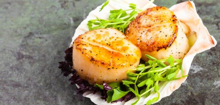 Les coquilles saint jacques font-elles grossir ?