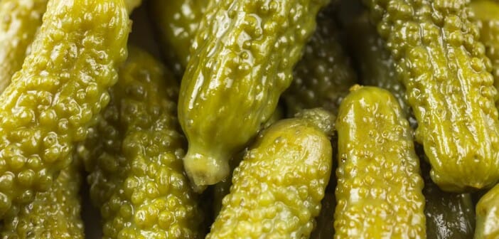 Les cornichons font-ils grossir ?