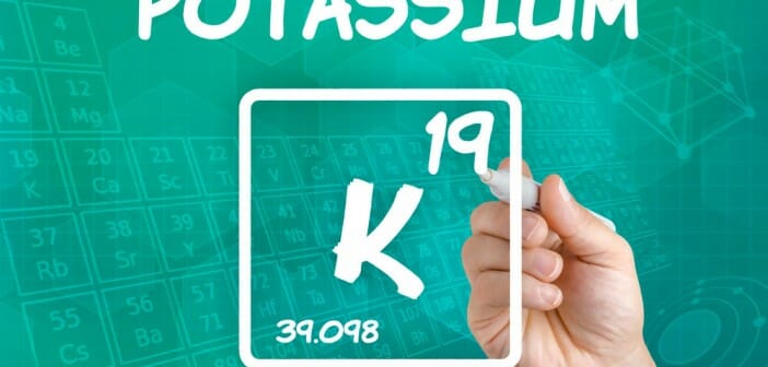 Régime pauvre en potassium