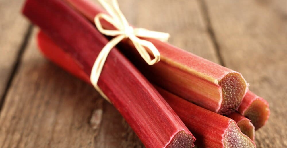 La rhubarbe est-elle calorique ?