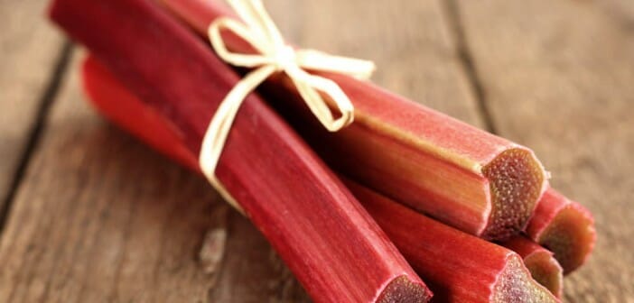 La rhubarbe est-elle calorique ?