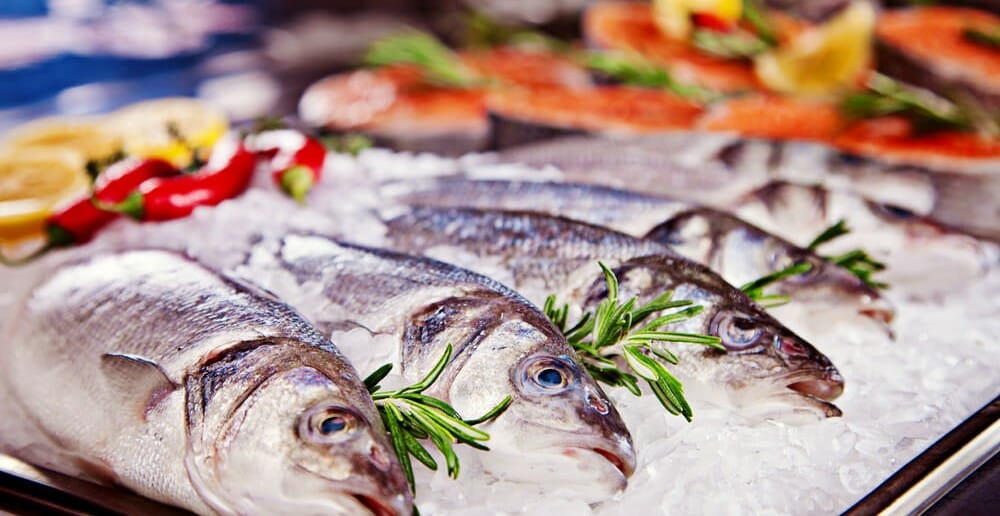 Le bar est-il un poisson gras ?