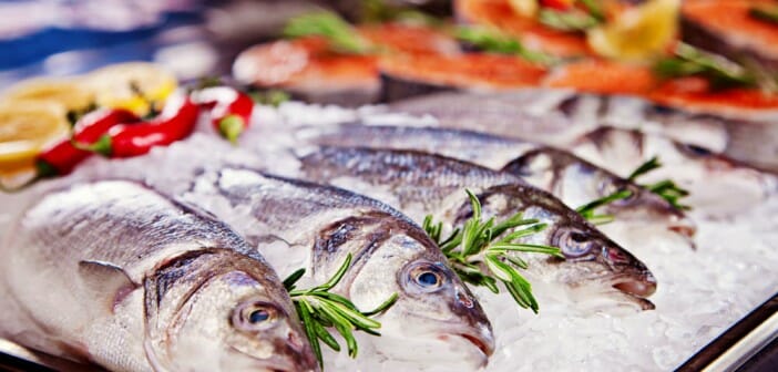Le bar est-il un poisson gras ?