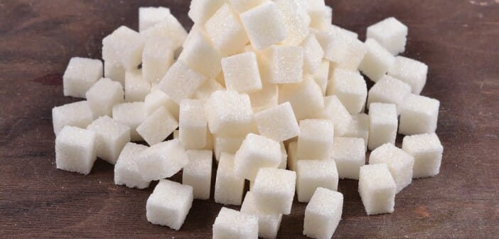 Le saccharose fait-il grossir ?