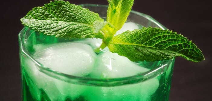 Le sirop à la menthe fait-il grossir ?