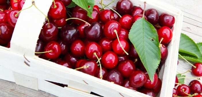 Les queues de cerises font-elles maigrir ?