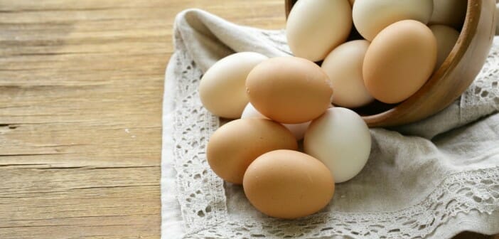 Par quoi remplacer les oeufs ?