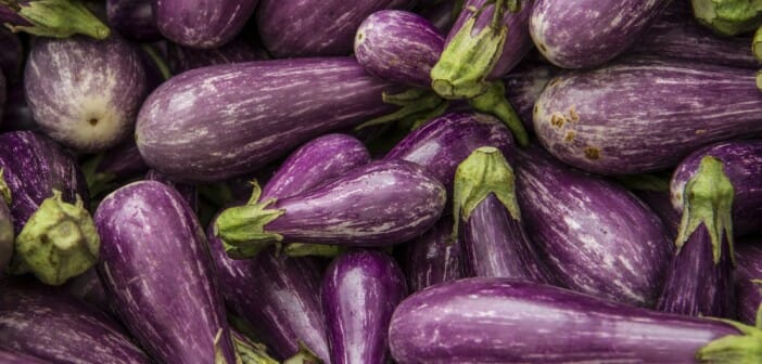 Top 10 des aliments qui font maigrir