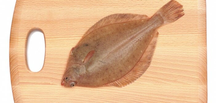 La limande est-elle un poisson gras ?