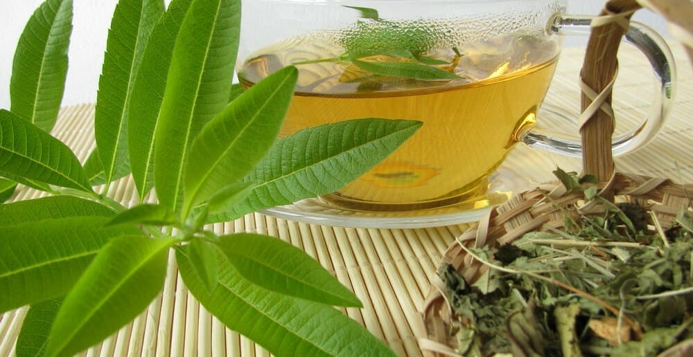 La verveine fait-elle maigrir ?