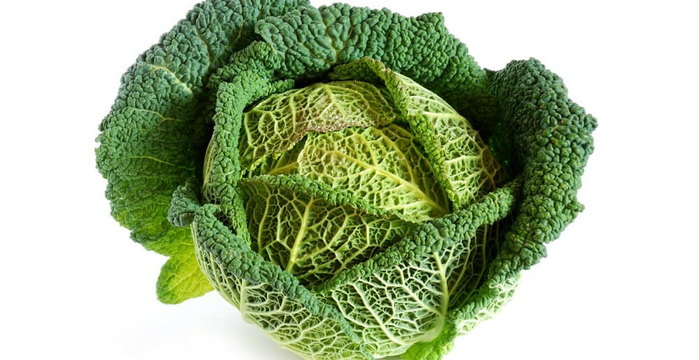 Le roi des légumes : le chou Kale