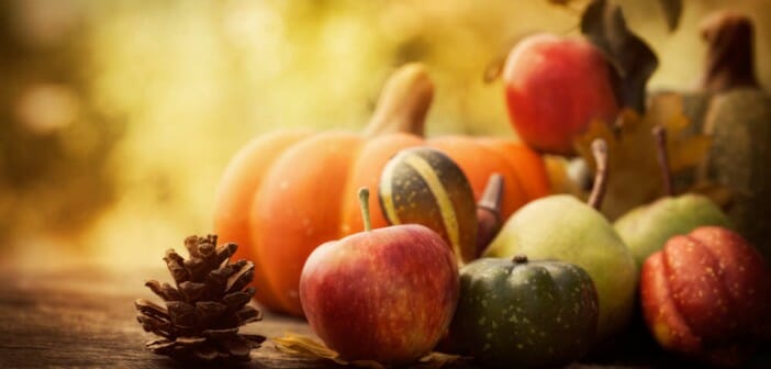 Les aliments minceur de l'automne