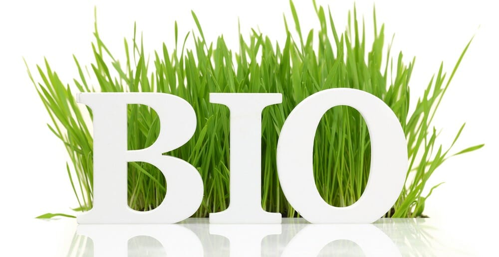 10 produits bio pour maigrir