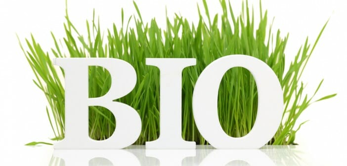 10 produits bio pour maigrir
