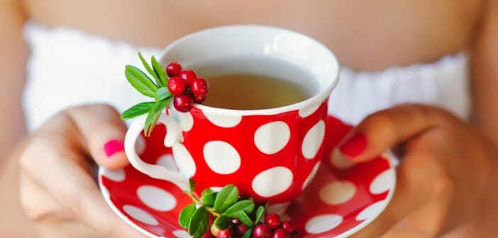 6 plantes médicinales pour maigrir
