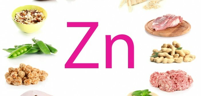 Le zinc fait-il maigrir ?