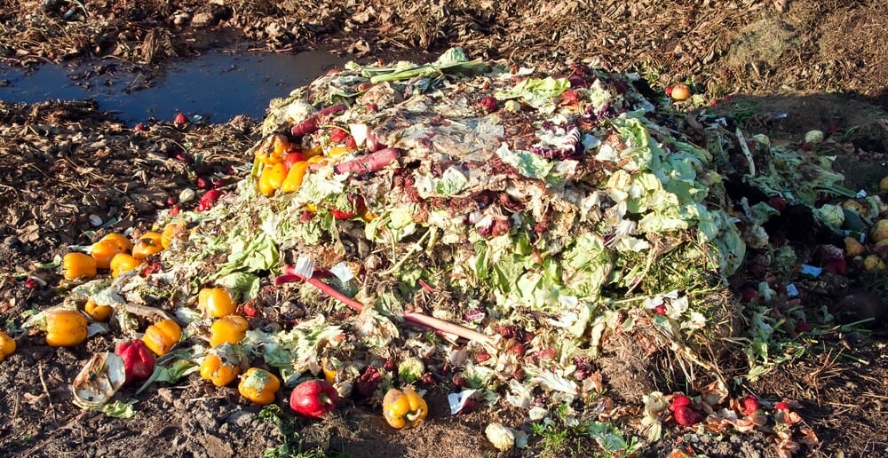 gaspillage alimentaire et régime