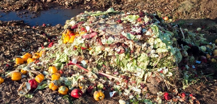 gaspillage alimentaire et régime