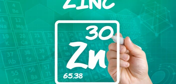 Le zinc fait il grossir