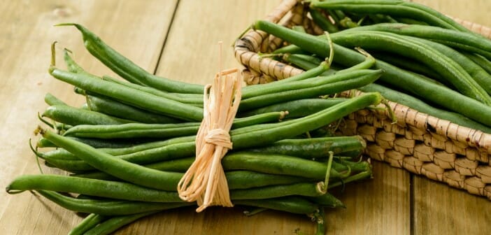 Les haricots verts font-ils maigrir ?