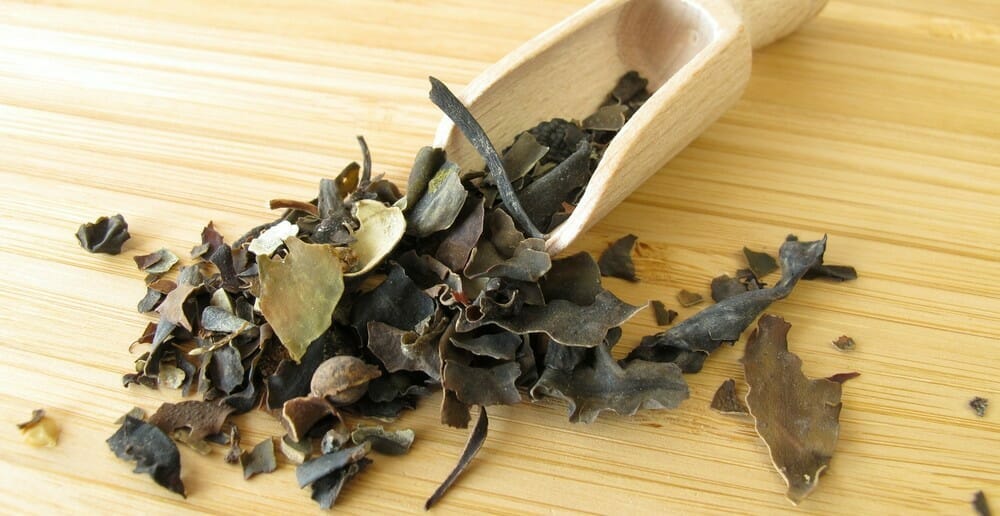 Le fucus fait-il maigrir ?