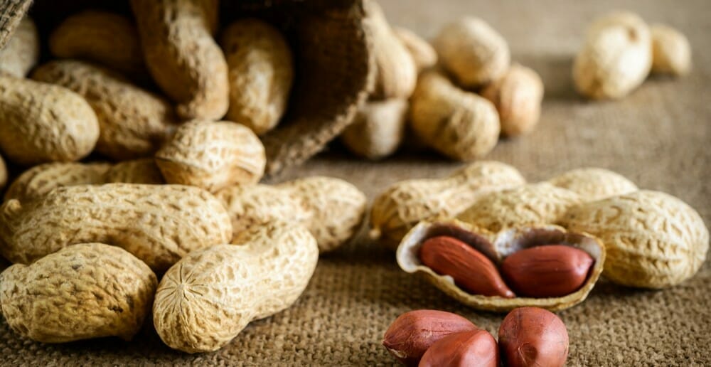 Les cacahuètes font-elles grossir ?