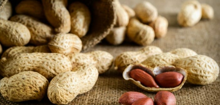 Les cacahuètes font-elles grossir ?