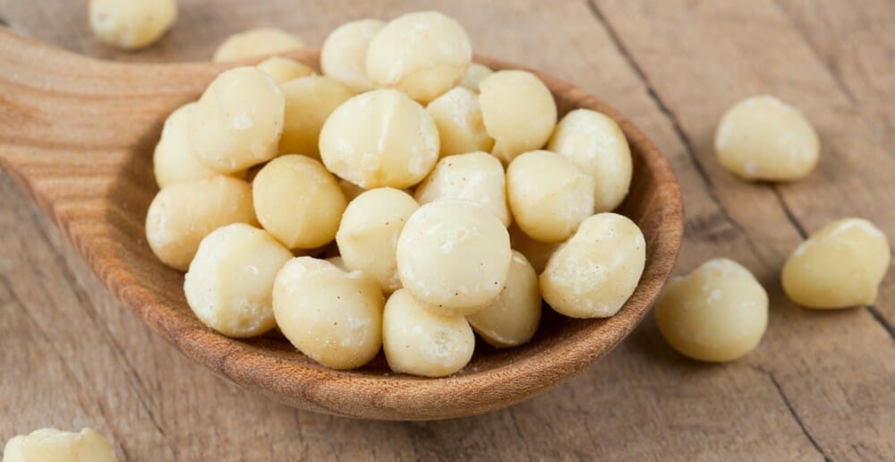 Les noix de macadamia font-elles grossir ?
