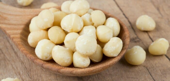 Les noix de macadamia font-elles grossir ?