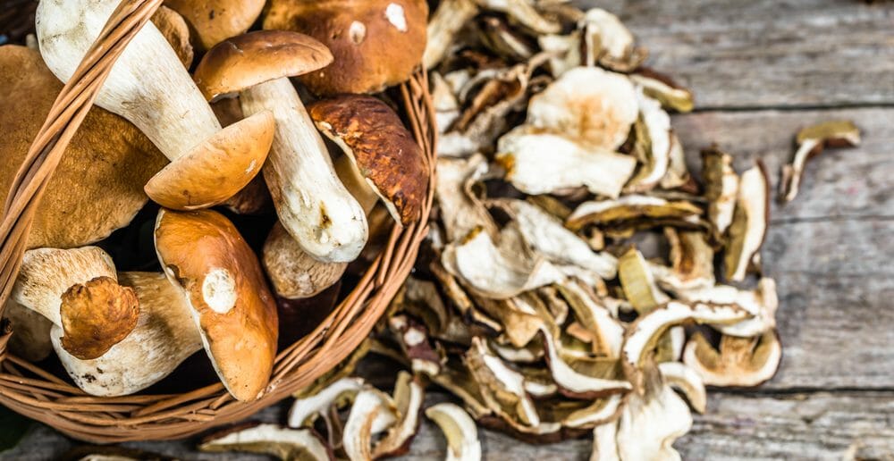 Les cèpes font ils grossir ?