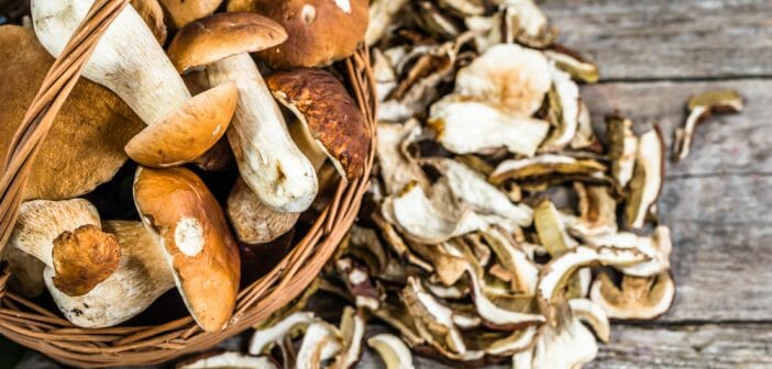 Les cèpes font ils grossir ?