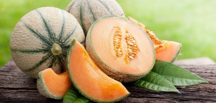 la-cure-de-melon-pour-maigrir