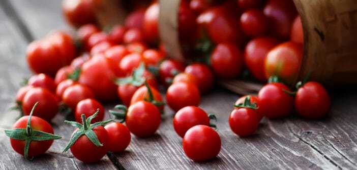 la-tomate-cerise-pour-maigrir