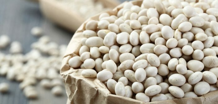 le-haricot-blanc-un-aliment-pour-maigrir