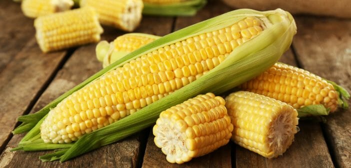 le-mais-grille-fait-il-maigrir