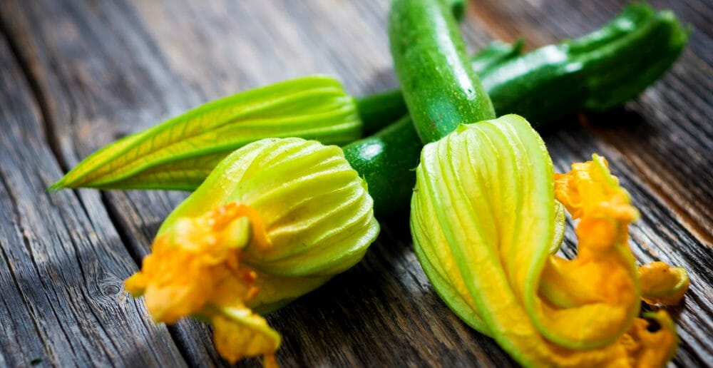 la-fleur-de-courgette-notre-alliee-minceur