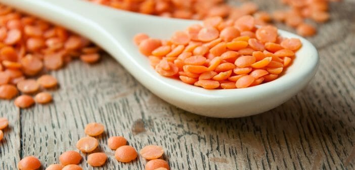 Les lentilles corail font-elles grossir