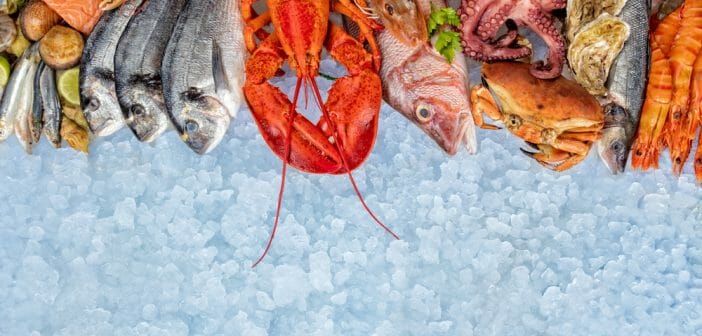 les-poissons-maigres-pour-aider-a-maigrir