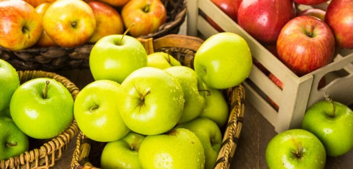 manger-une-pomme-le soir-fait-il-maigrir