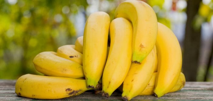 monodiete-banane-efficace-pour-maigrir