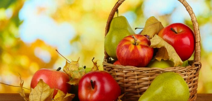 poires-ou-pommes-pour-maigrir