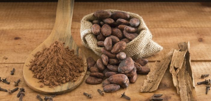 cacao-cru-antioxydant-aide-a-maigrir