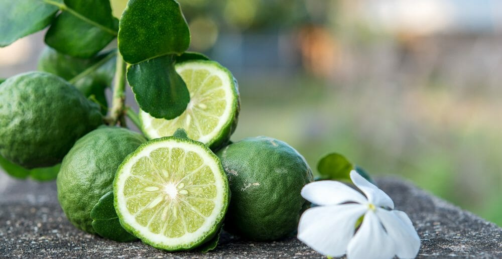 la-bergamote-pour-perdre-du-poids
