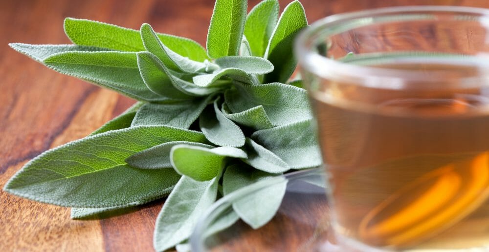la-tisane-de-sauge-fait-elle-maigrir